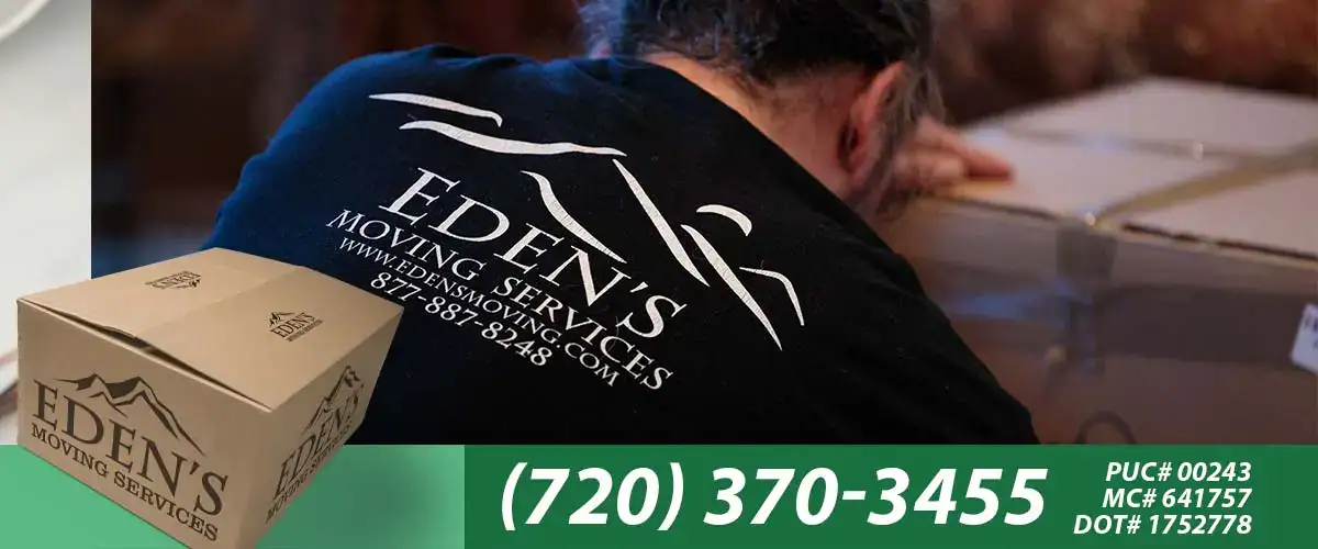 professional long distance movers