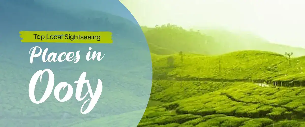 top sightseeing places in ooty