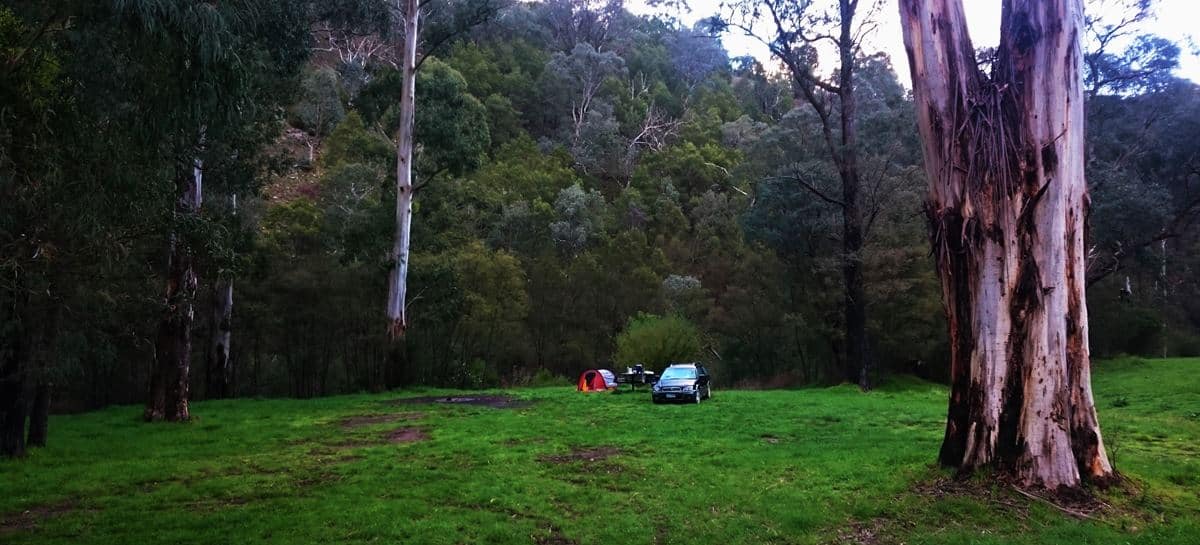 Dargo, Victoria, Australia - High country