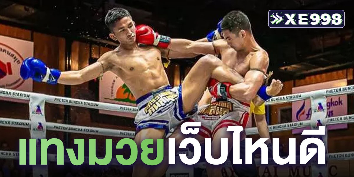 แทงมวยเว็บไหนดี แทงมวยเว็บไหนดี