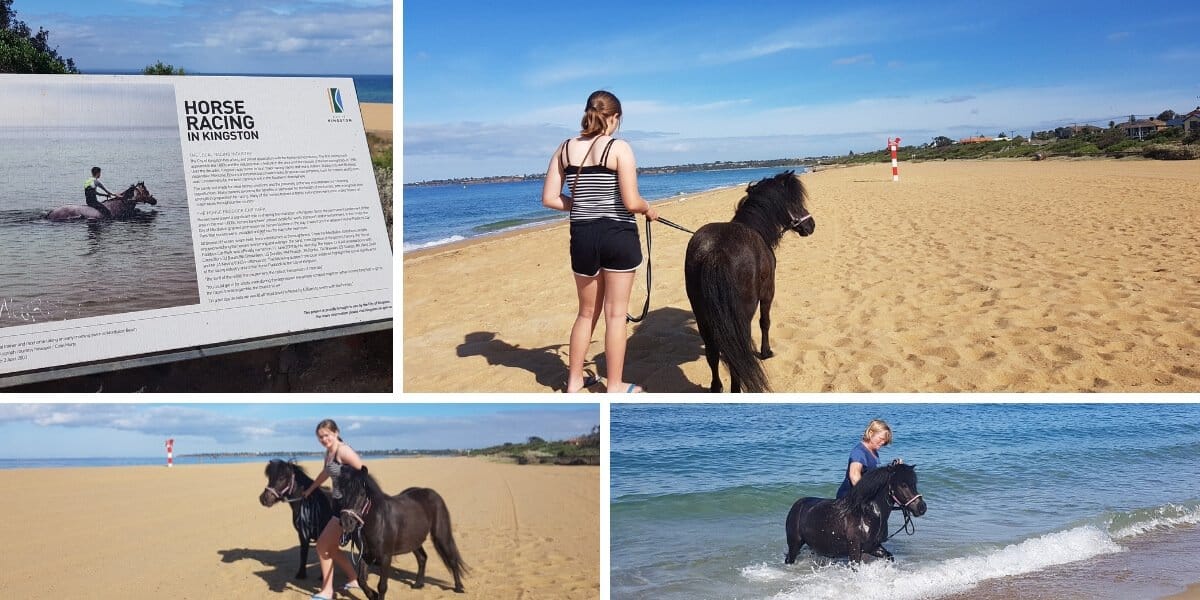 Horse Friendly Beach for swimming , Mordialloc, Melbourne.