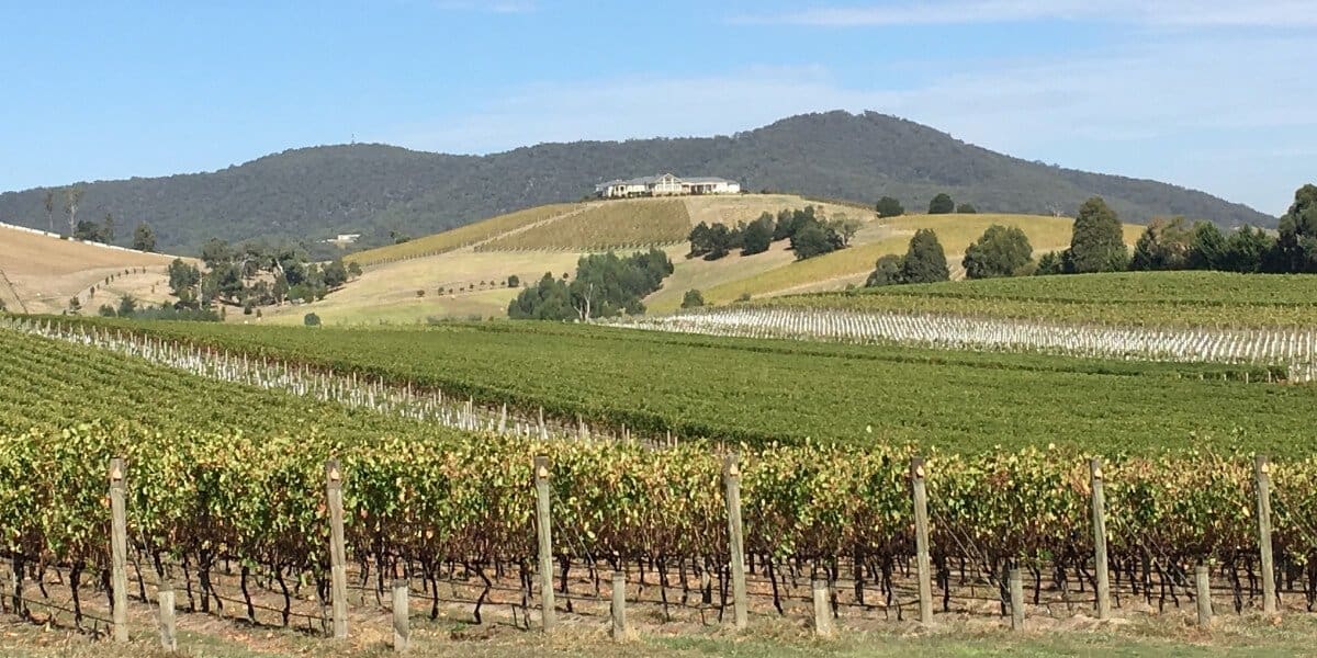 Boutique, small winreries of the Yarra Valley, Australia