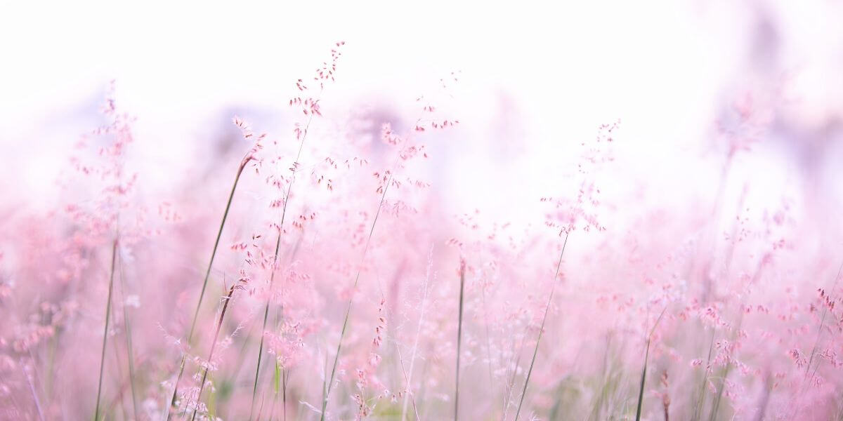 Why Resharing My Breast Cancer Story After 11 Years Feels Impossible (And What I’m Doing About It)