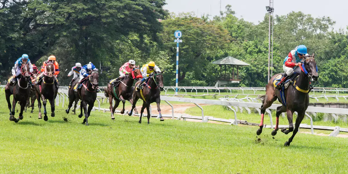 A Deep Dive into the World of Horse Racing in the UK and Ireland