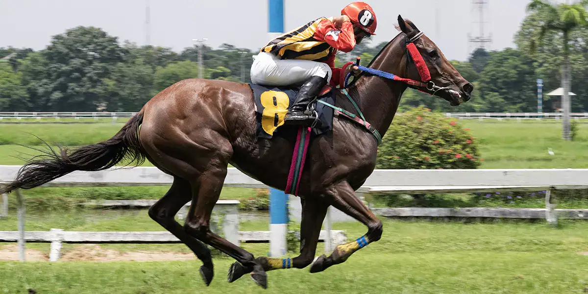 In-Play Horse Racing Betting