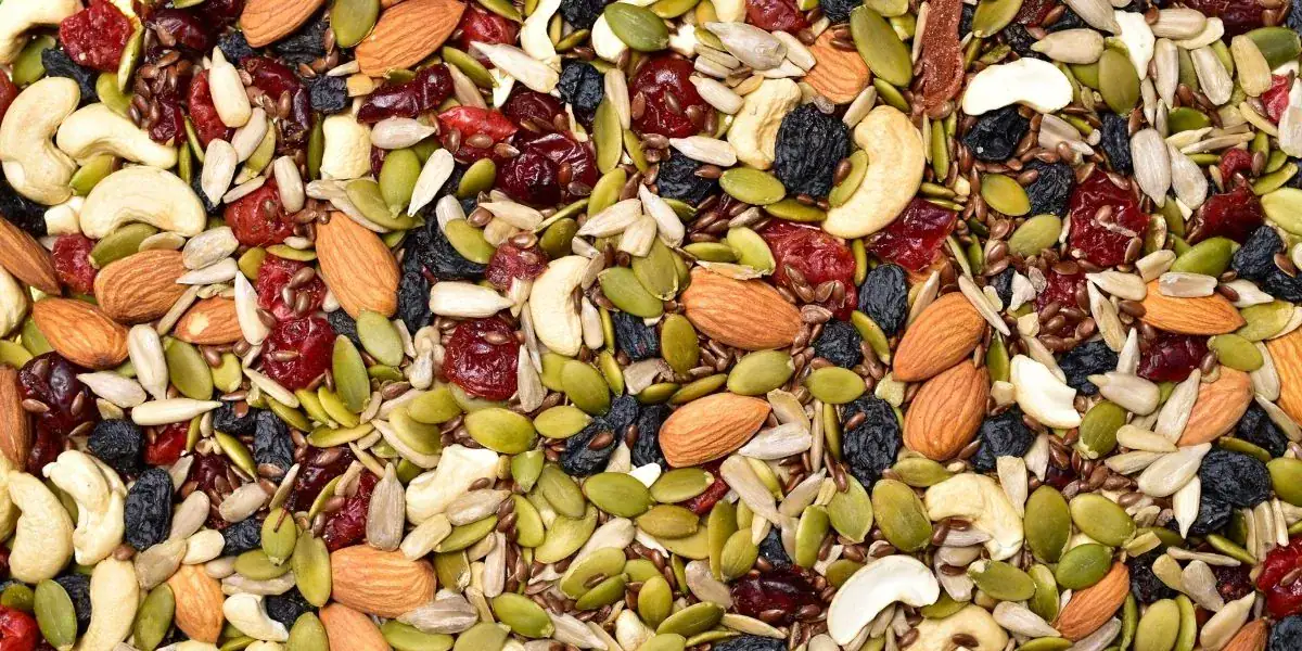 23 Best Hiking Snacks: Ideas To Fuel Your Next Adventure