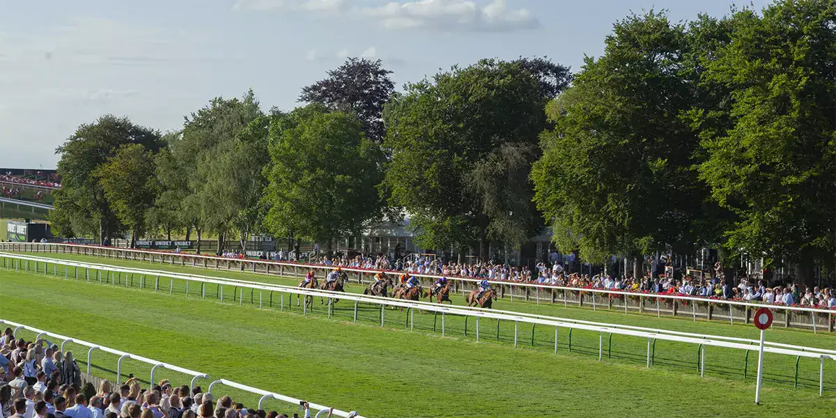 Saturday Newmarket Preview