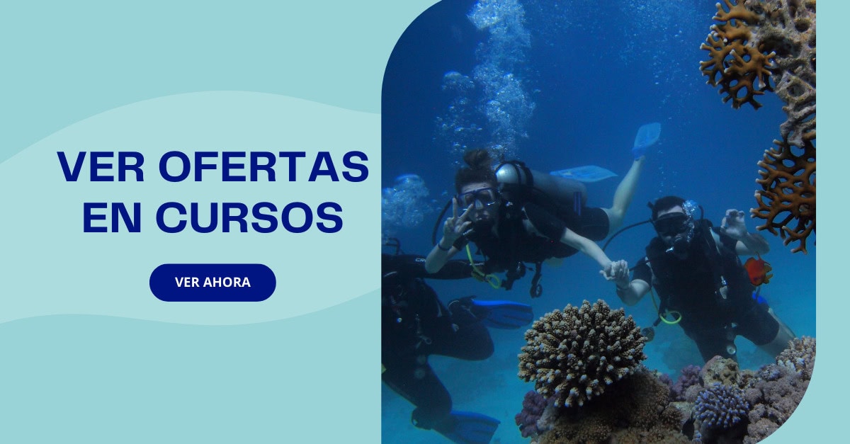 Ofertas en cursos de buceo