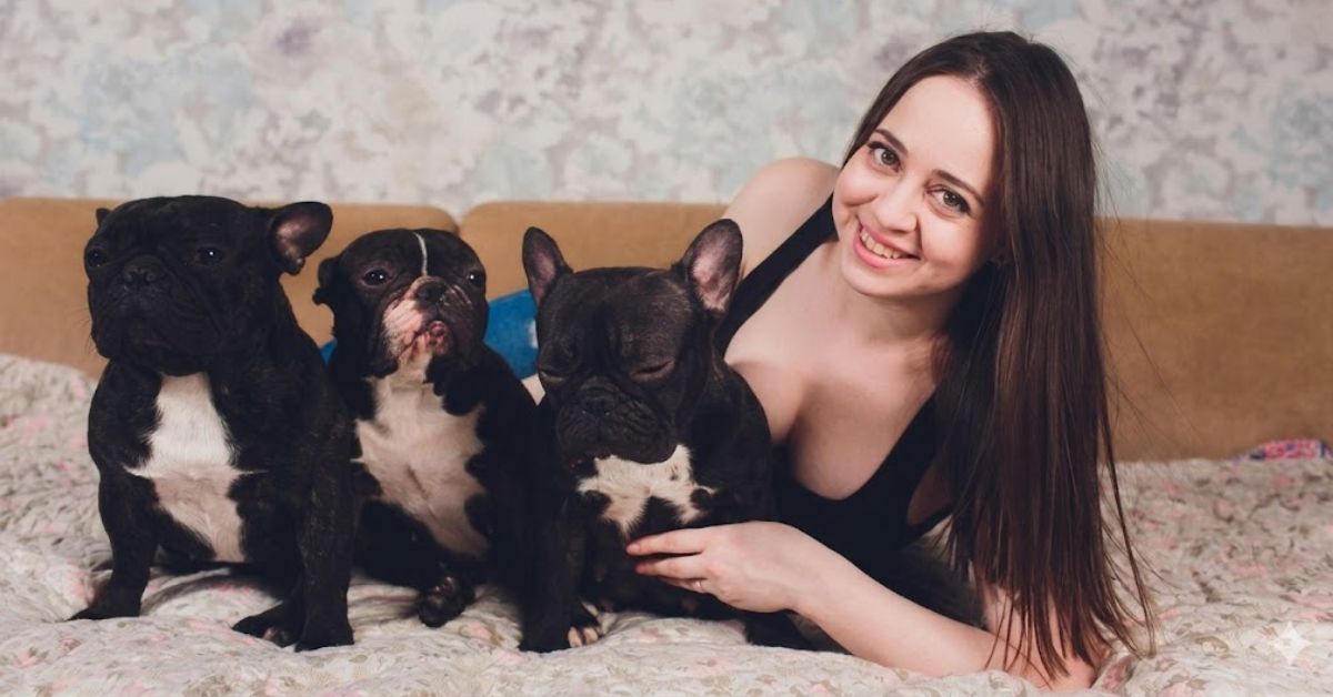 chihuahua mix with pitbull puppies guide & care tips (1)