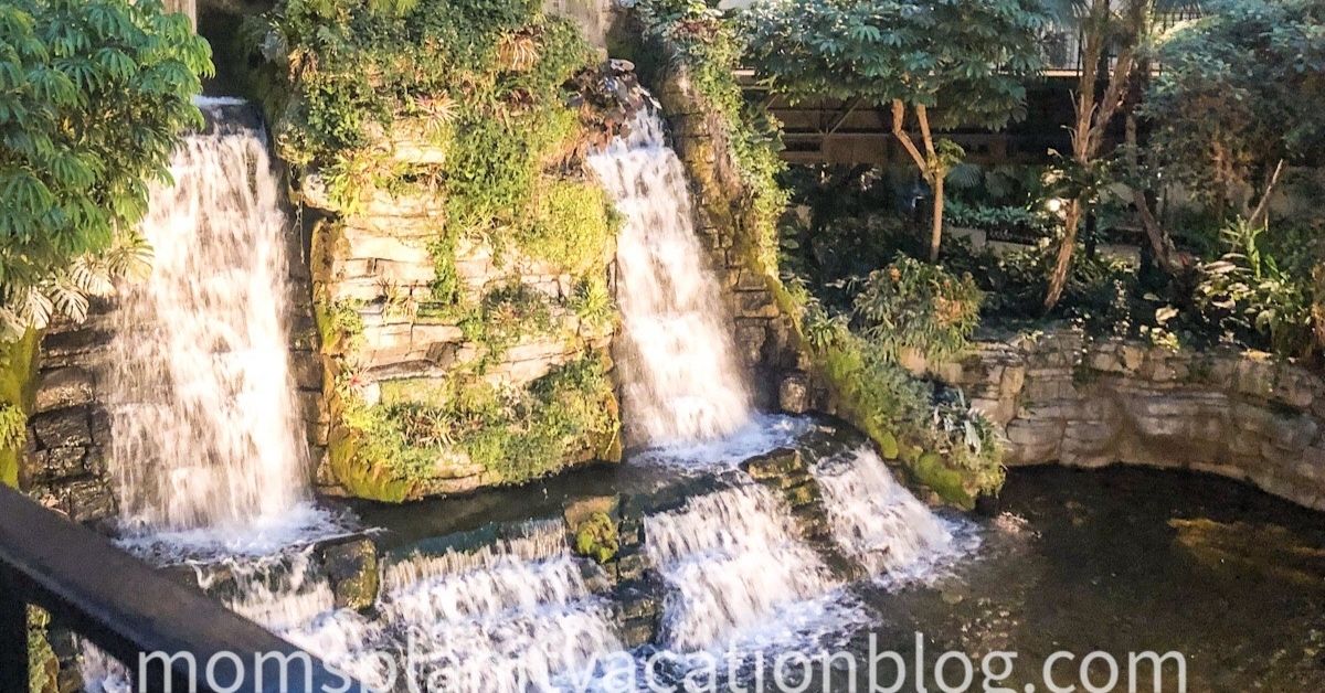 indoor waterfalls