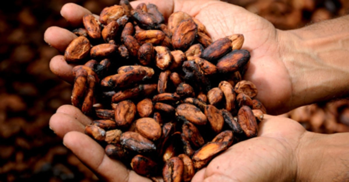 5 Latin American Superfoods to Try Today