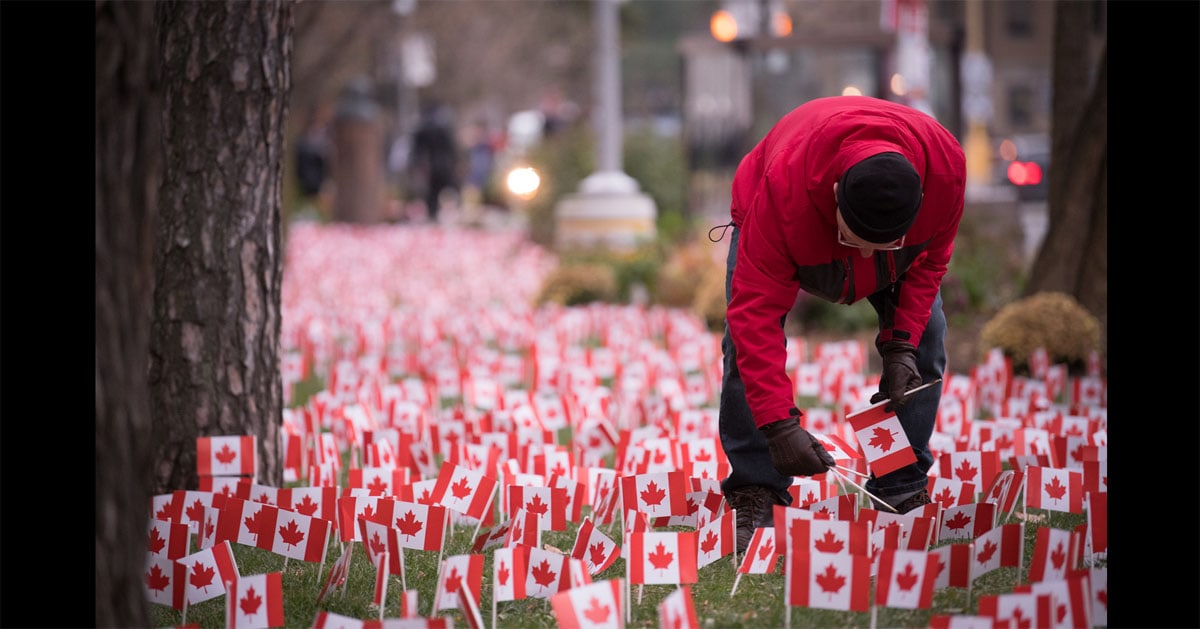 Canadians to Salute Veterans by Planting 37,500 flags in Toronto this Remembrance Day