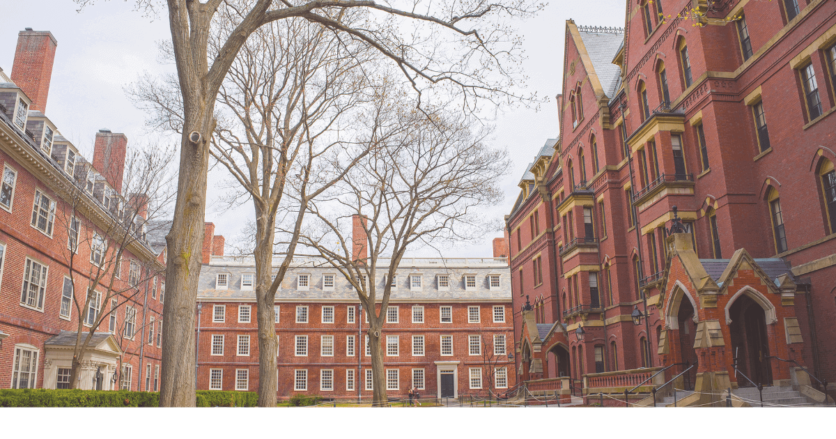 Read more about the article Are Ivy League Schools Worth It?