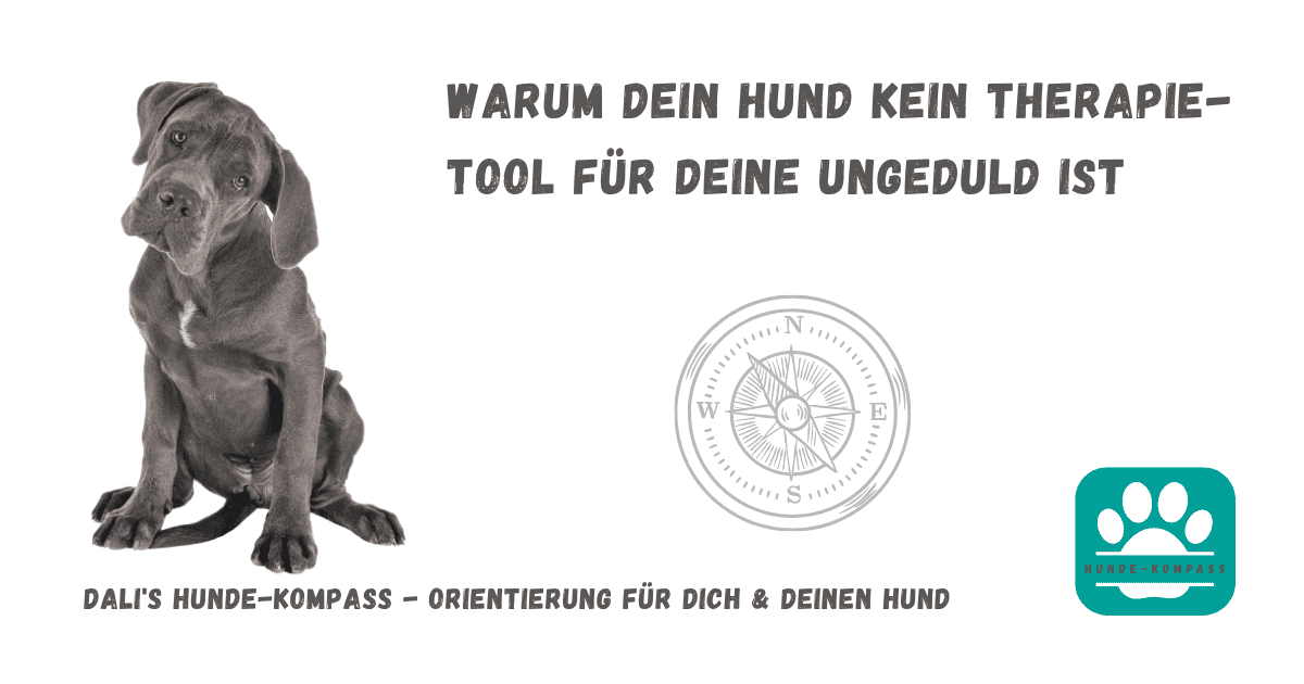 Hundekompass - Warum dein Hund kein Therapie-Tool für deine Ungeduld ist