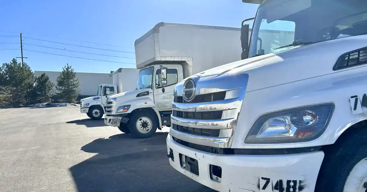 best moving companies near me