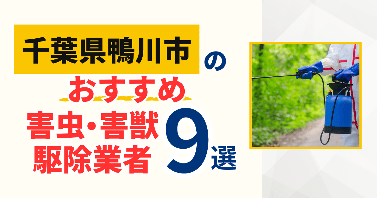 鴨川市(千葉)のおすすめ害虫・害獣駆除業者9選|特徴や料金を徹底比較!