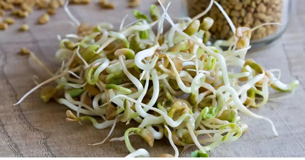 9 Benefits Of Fenugreek Seeds For Hair Growth