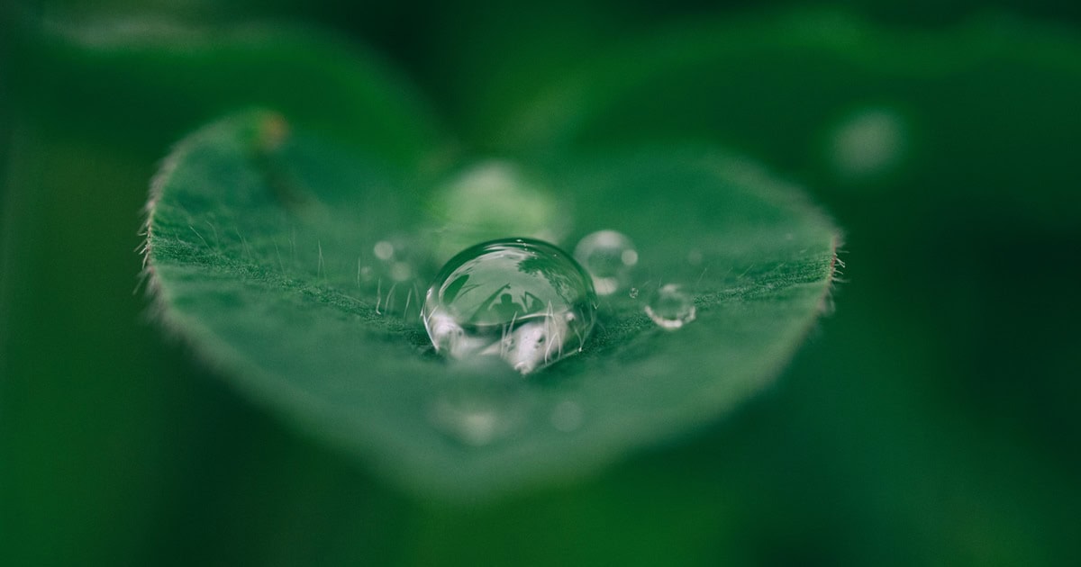 Image by Aaron Burden on Unsplash