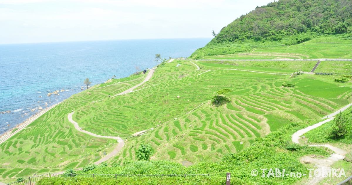 世界遺産白米千枚田の風景