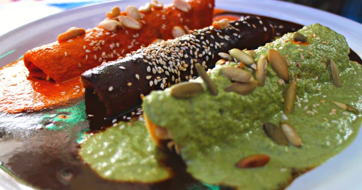 red, black and green mole enchiladas on a place | best oaxaca foods in mexico