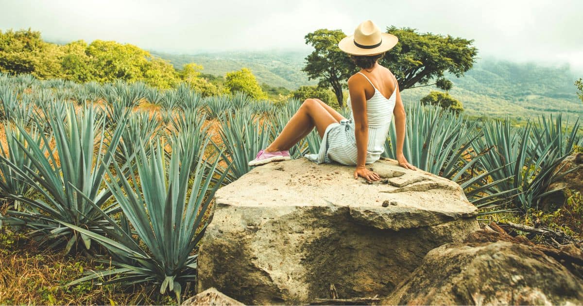 woman in agave field on one of the best oaxaca mezcal tours in mexico