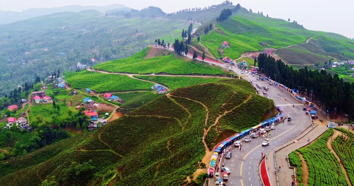 kanyam tea