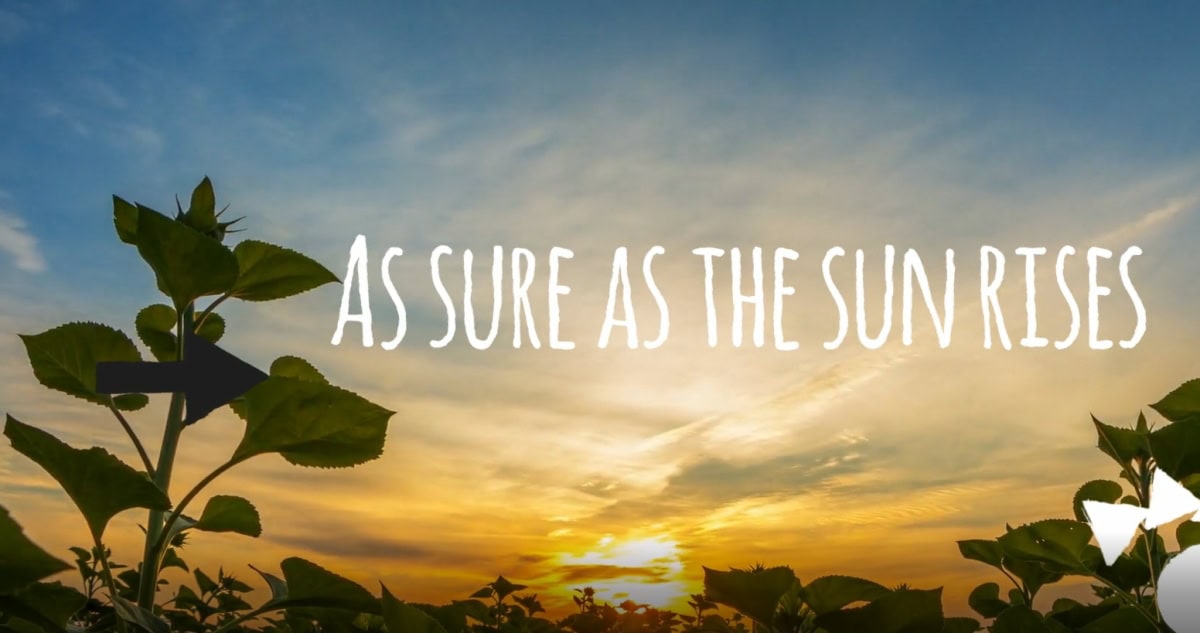 Optimized-as_sure_as_the_sun_rises
