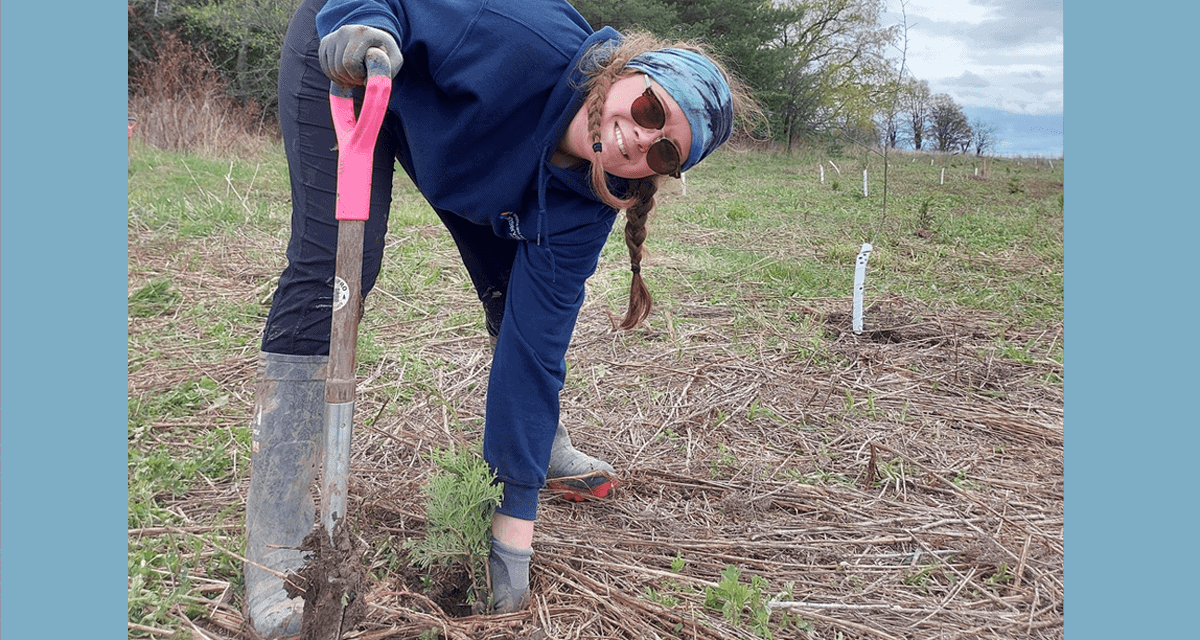 Toronto has Canada’s first National Urban Park and its getting 26,000 new trees