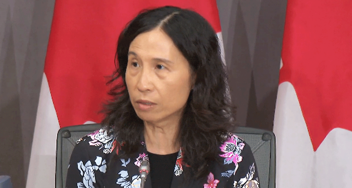 Statement from the Chief Public Health Officer of Canada on November 19, 2020