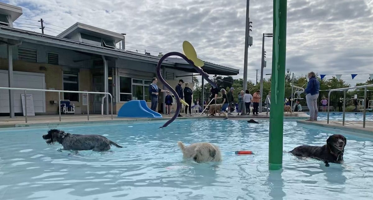 City of Toronto marks the final long weekend of summer at outdoor swimming pools, beaches, city-wide art installations and more