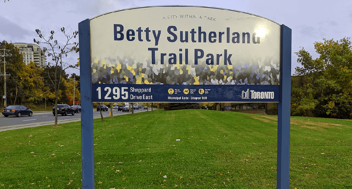 Toronto is getting 10,000 trees as part of Canada’s Two Billion Trees program
