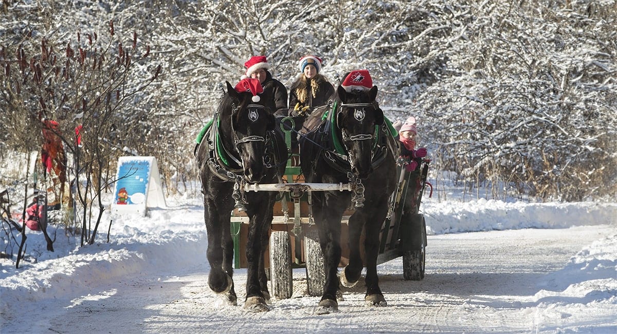 Kawartha Lakes Holiday Events Guide 2024