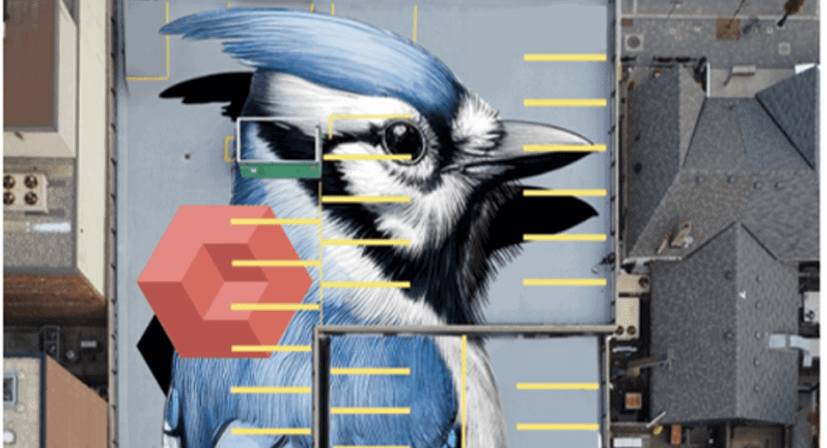 Gigantic Blue Jay mural lands in a Yorkville Parking Lot 