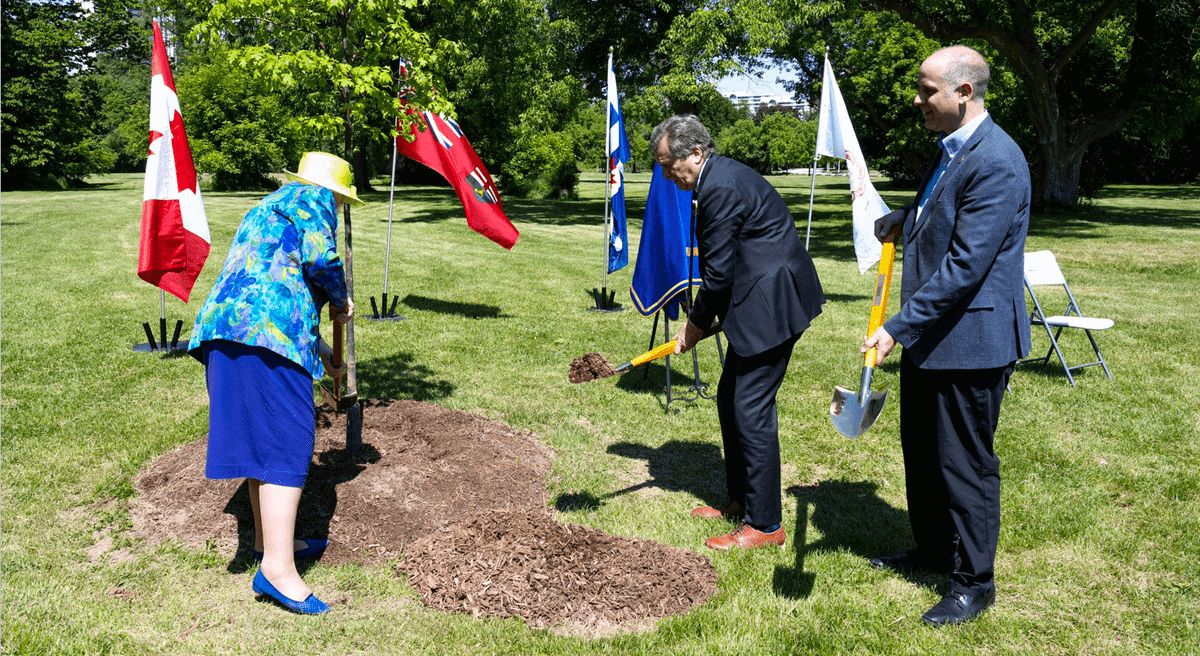 Toronto has planted 70 large trees to celebrate Her Majesty The Queen’s Platinum Jubilee