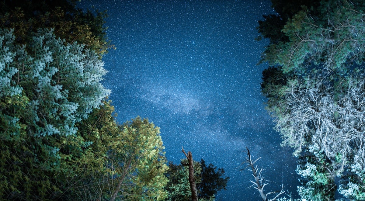 Cosmic Camping – The Ultimate Stargazing Experience in Ontario