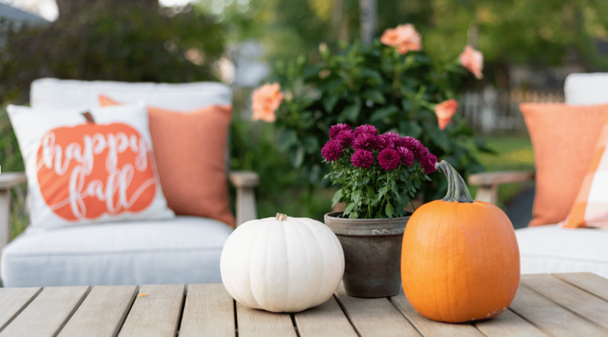 How to Create a Perfect Cozy Outdoor Space for Fall