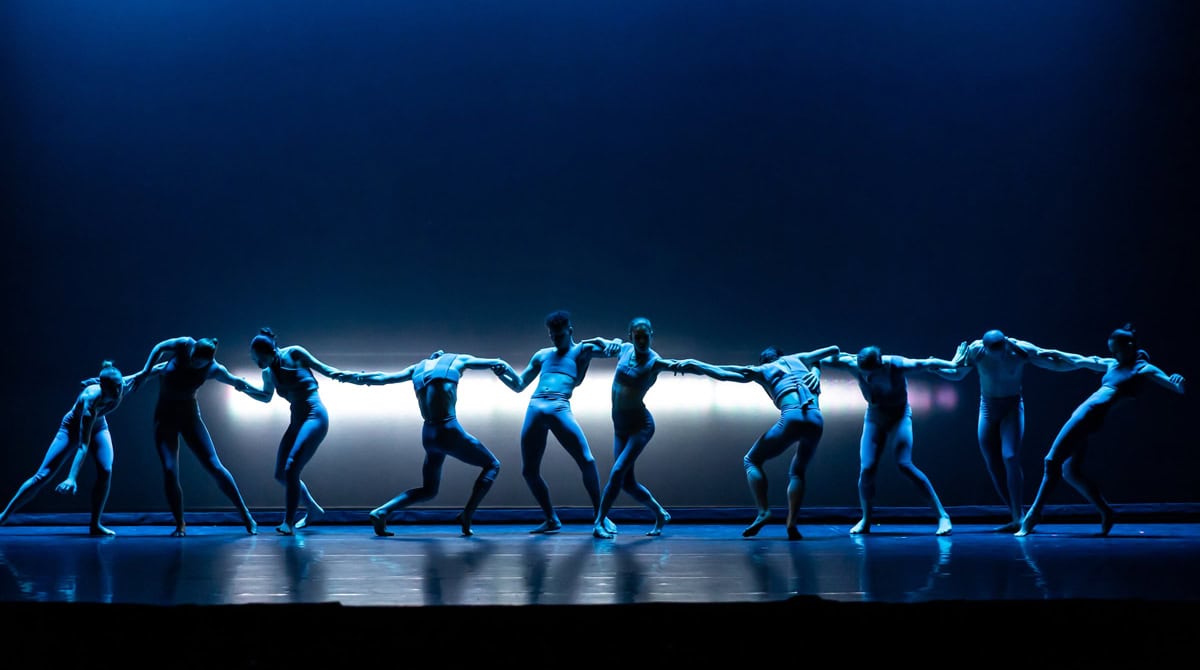 Here is the lineup for the Fall for Dance North 10th Annual Festival