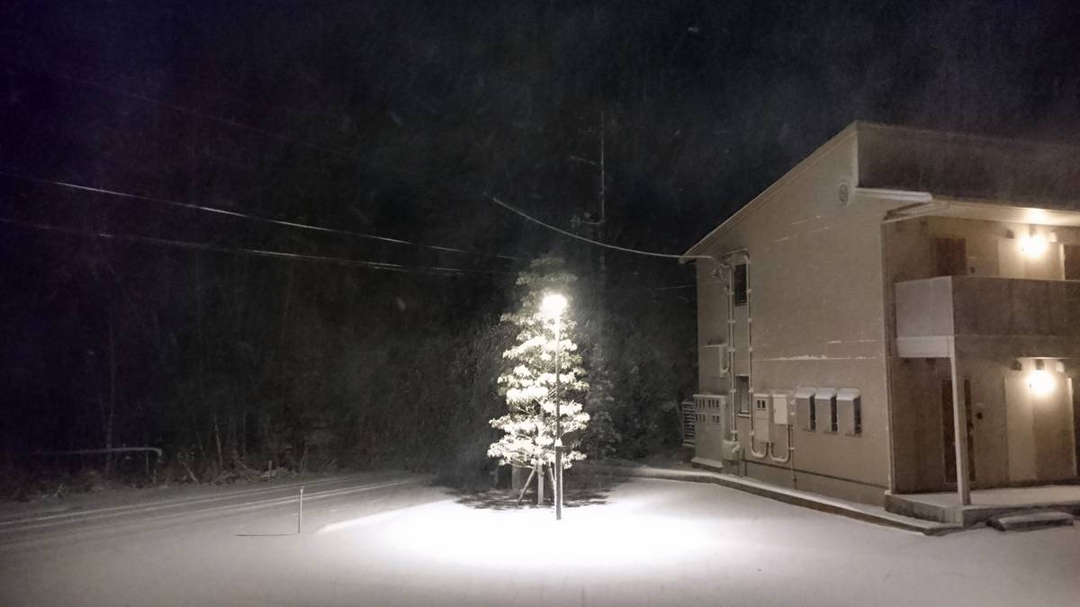 今年はじめての雪