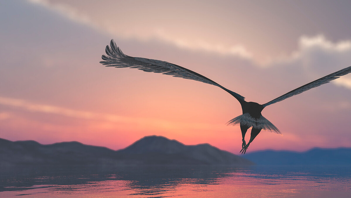 SEO Coaching Coimbra