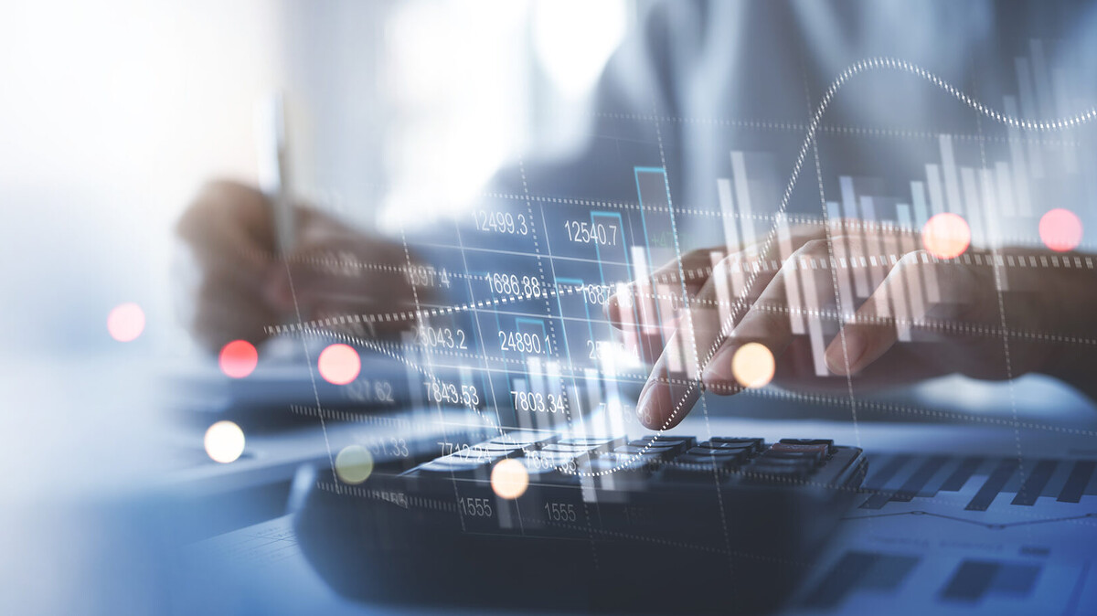 SEO Consulting Mérida results