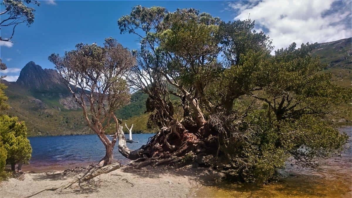Dove Lake Circuit Walk, Cradle Mountain, Tasmania