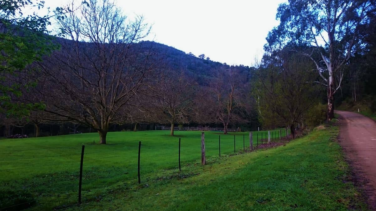 Walnut Grove, Dargo, Australia
