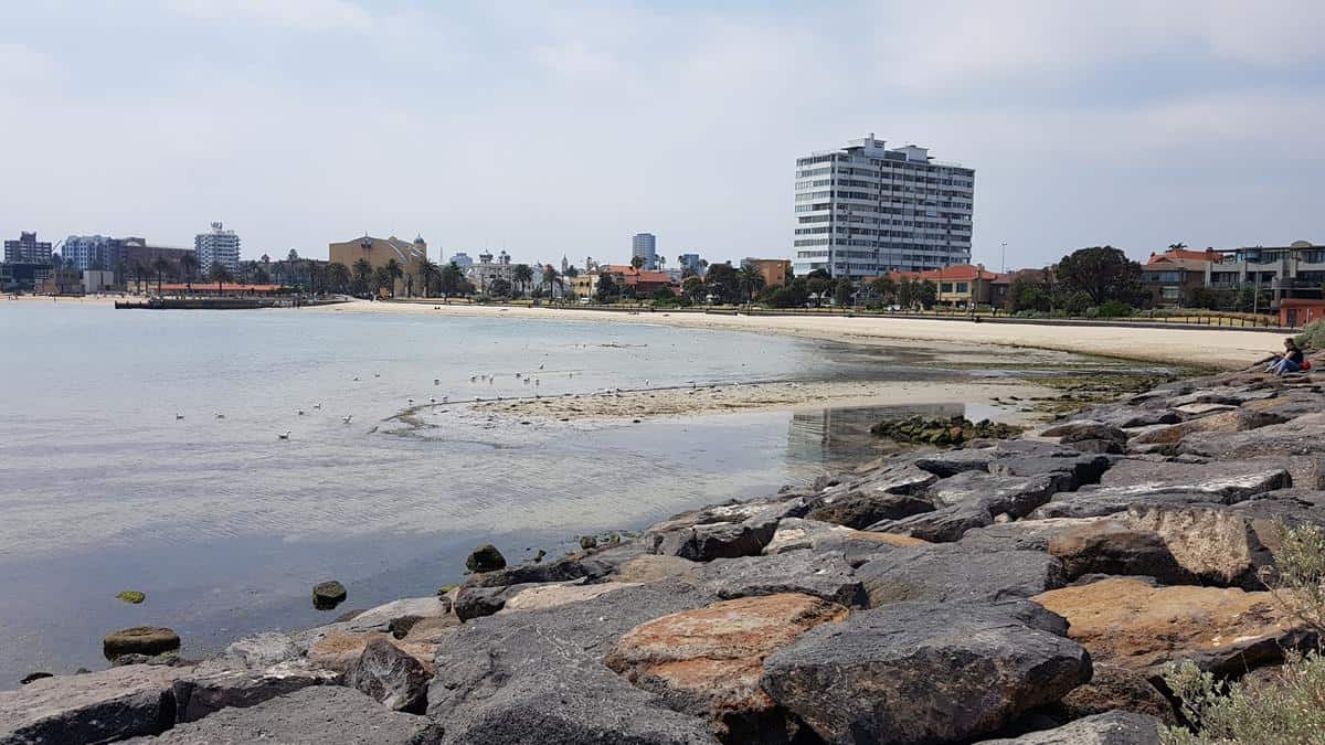 St Kilda - Best dog-friendly beaches in Melbourne and Mornington Peninsula