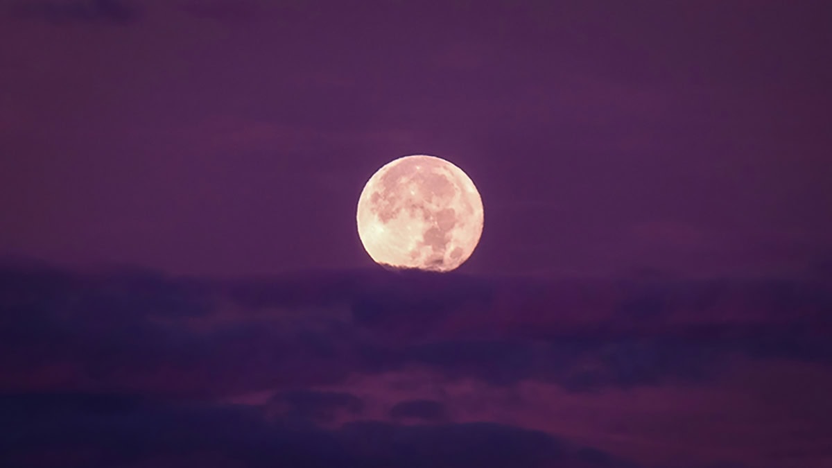 Stargazing in Toronto: A Guide to September 2024’s Night Sky Events