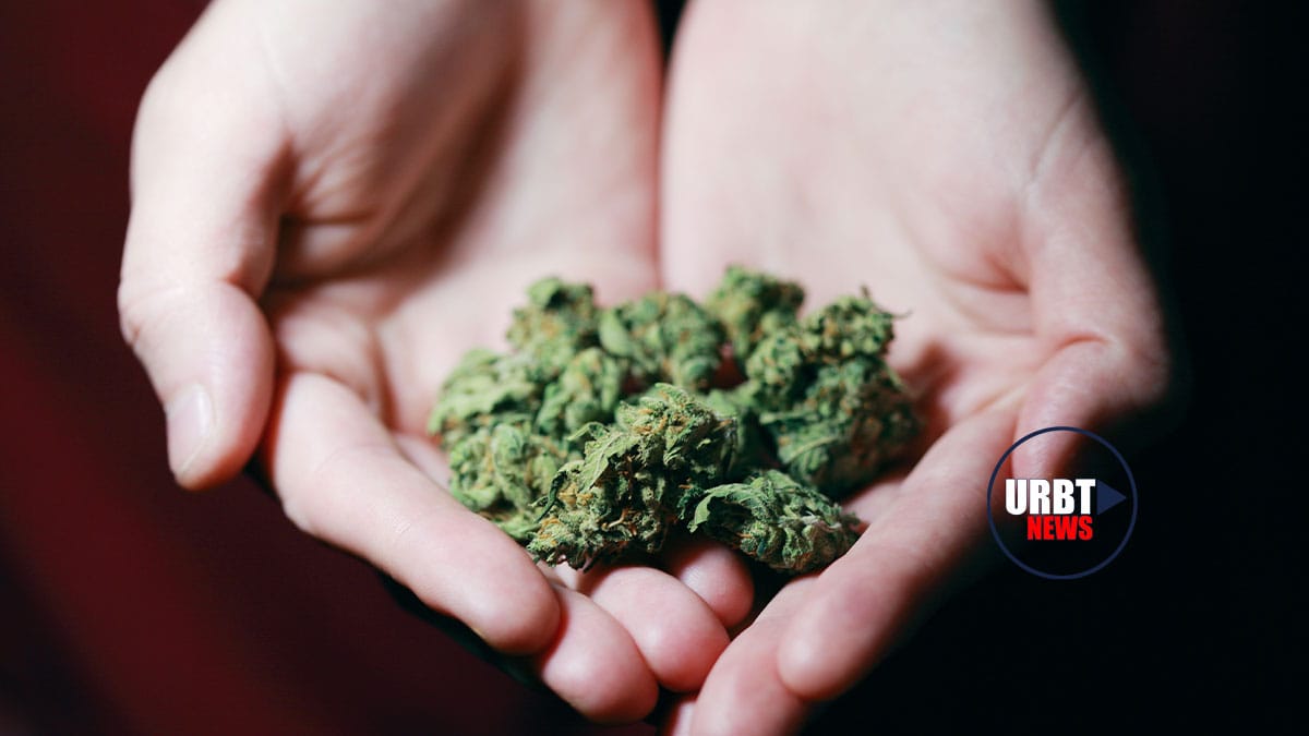 Worlds Largest Cannabis Dispensary, Partners with IDScan.net