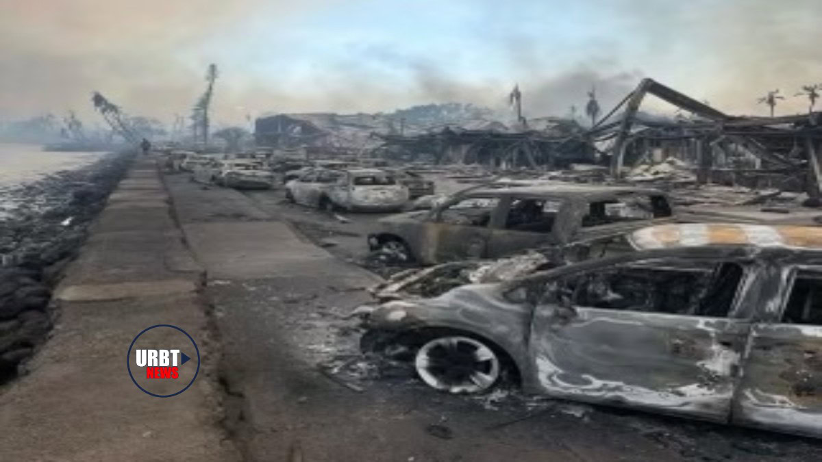 Wildfires Devastate Maui Hawaii Killing 36