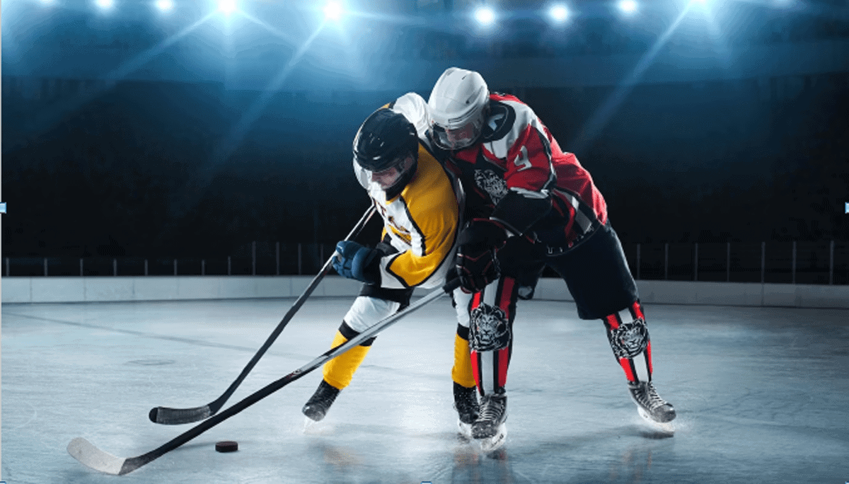 Top 5 Greatest International National Hockey League Players