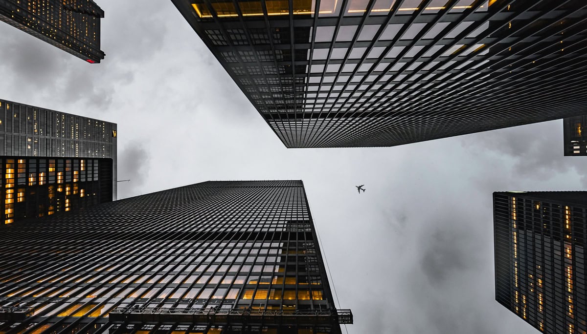 City launches “Lights Out Toronto” campaign to protect migratory birds