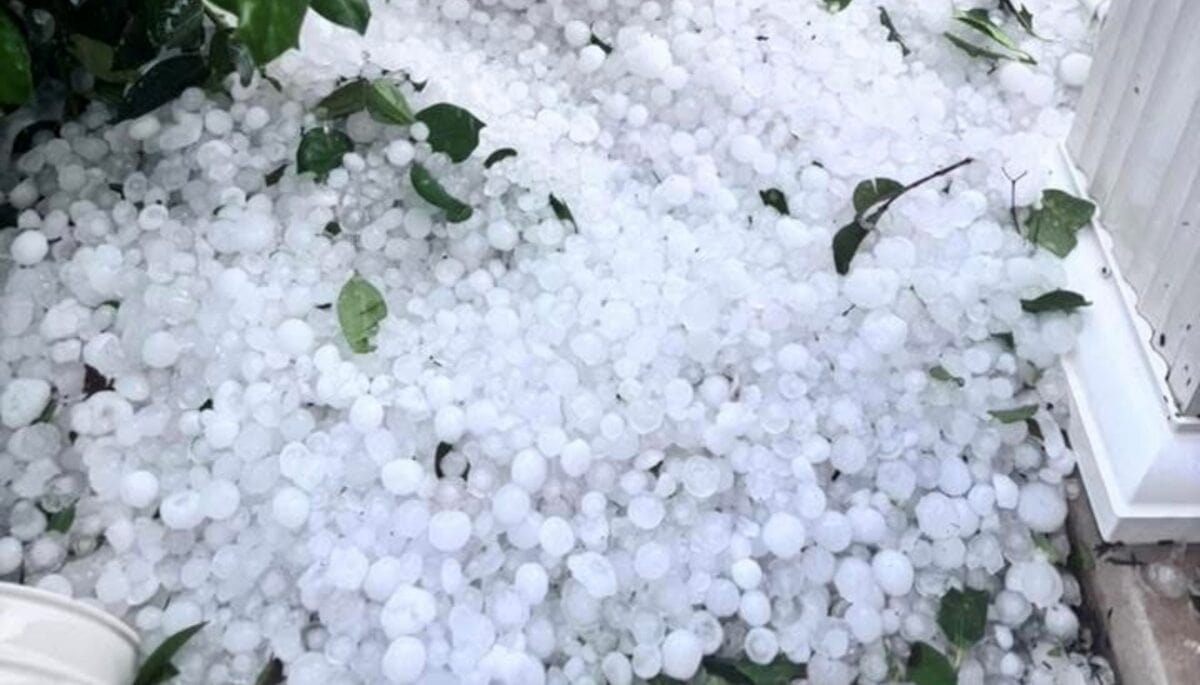 free roof inspection, storm damage