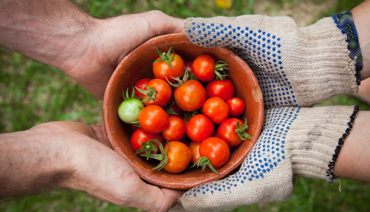 9 Great Food Apps that are Helping to Combat Hunger